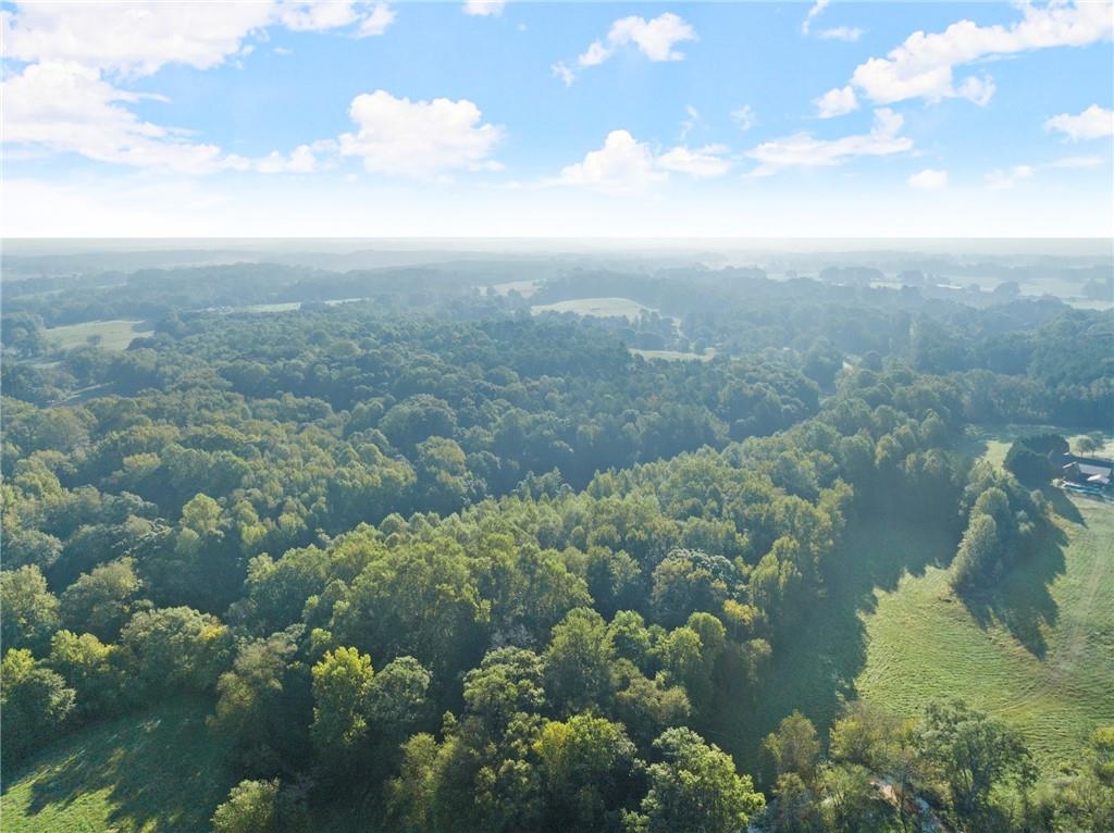 Caney Branch Road, Lavonia, Georgia image 15