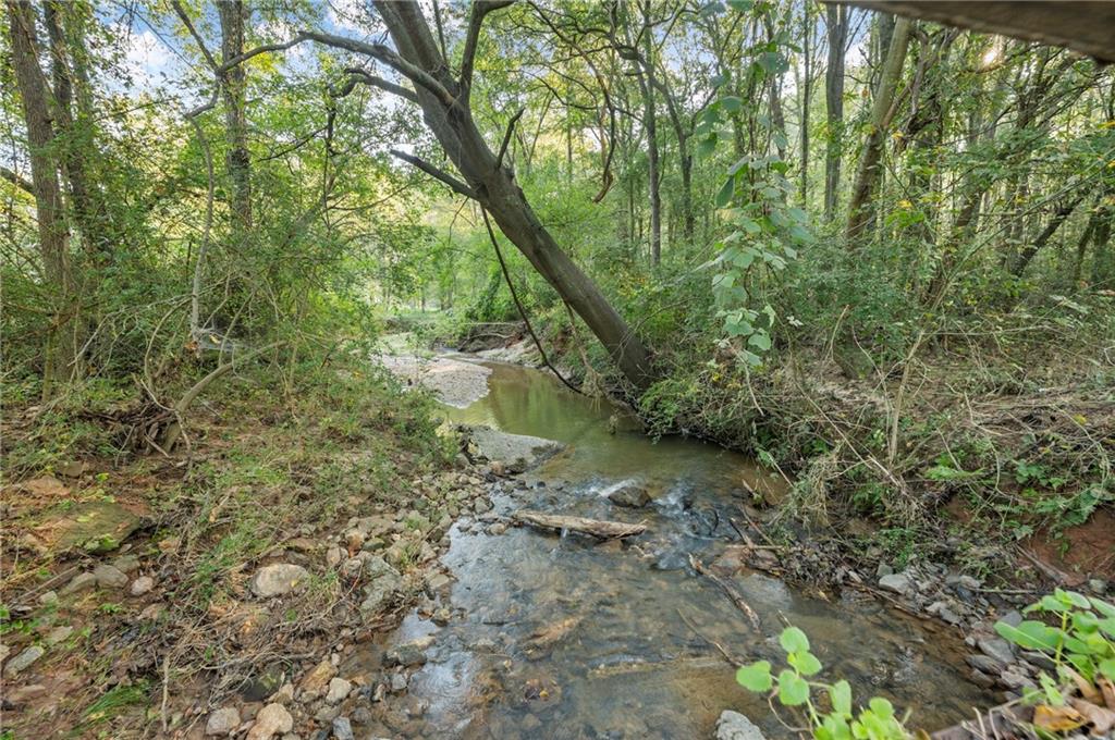 Caney Branch Road, Lavonia, Georgia image 3