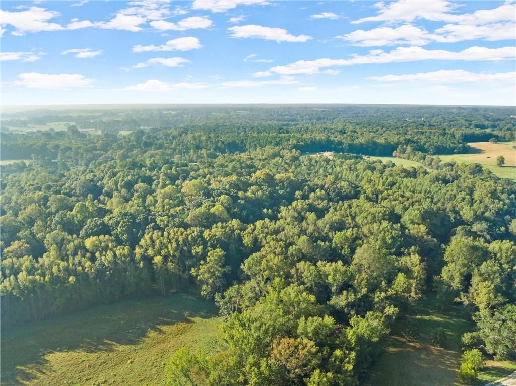 Caney Branch Road, Lavonia, Georgia image 17