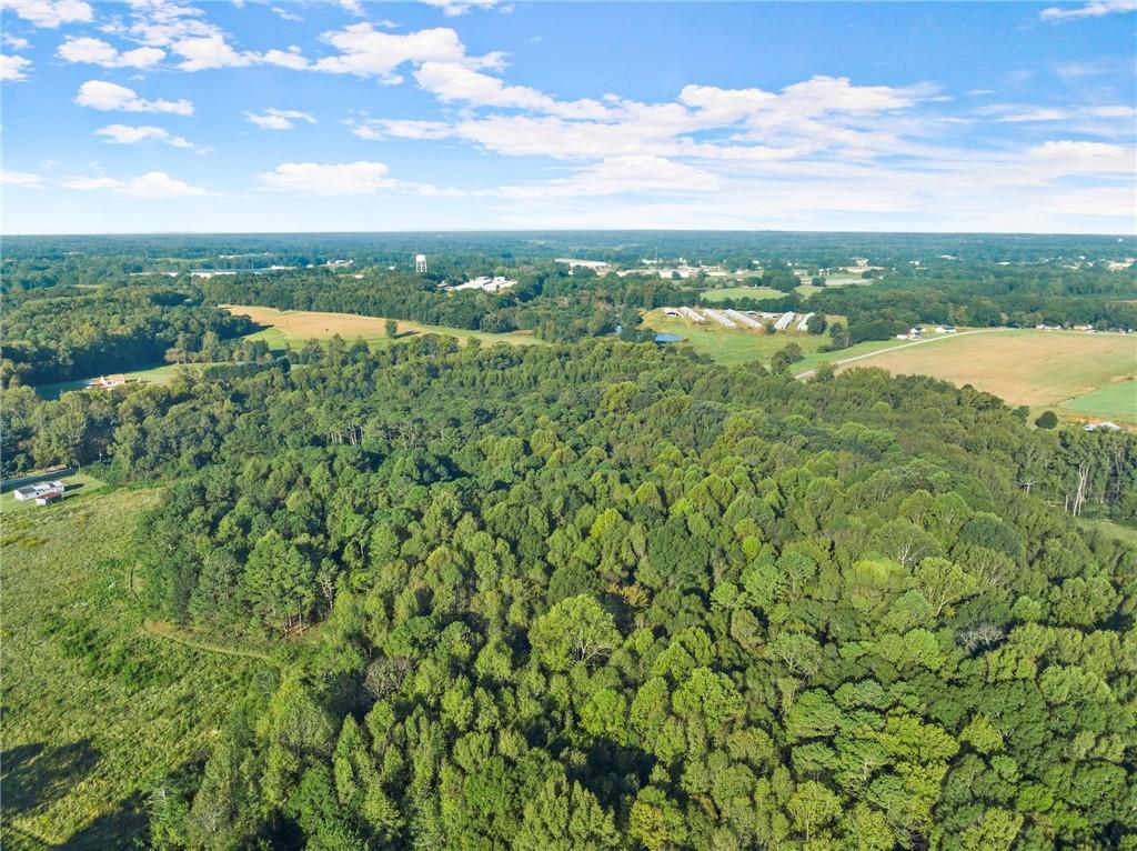 Caney Branch Road, Lavonia, Georgia image 16