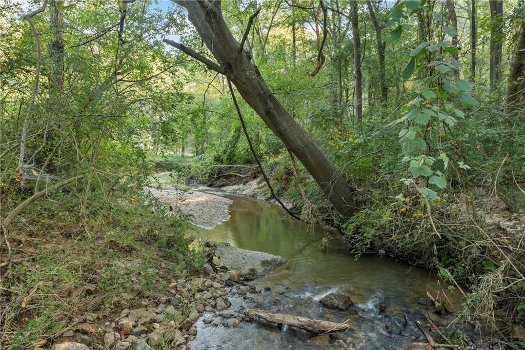 Caney Branch Road, Lavonia, Georgia image 25