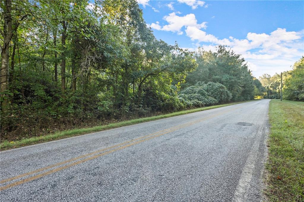 Caney Branch Road, Lavonia, Georgia image 26