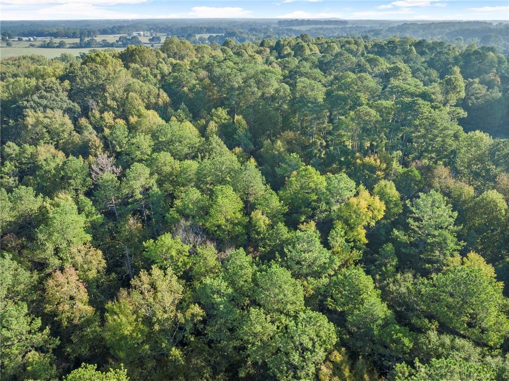 Caney Branch Road, Lavonia, Georgia image 11