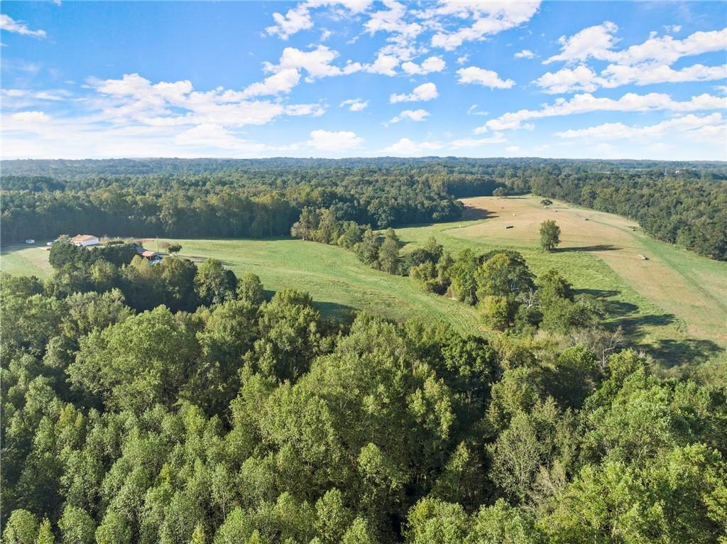 Caney Branch Road, Lavonia, Georgia image 7