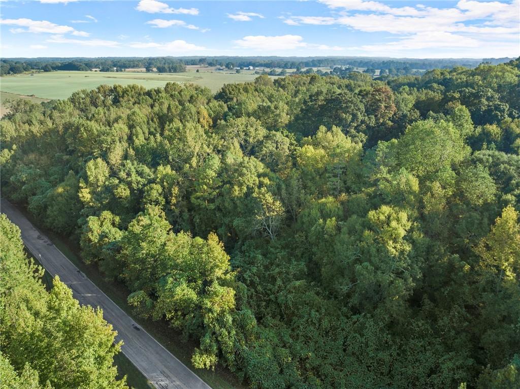 Caney Branch Road, Lavonia, Georgia image 10