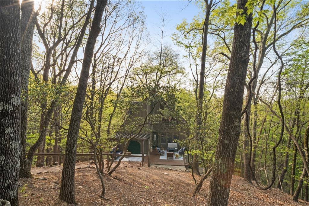 826 Woodland Trace, Big Canoe, Georgia image 35