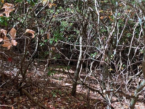 Vacant Land For Sale - Prospector Place<br/> White County, Sautee Nacoochee, GA 30571