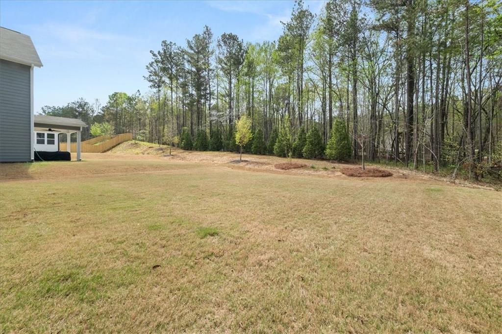1037 Devon Drive, Acworth, Georgia image 34