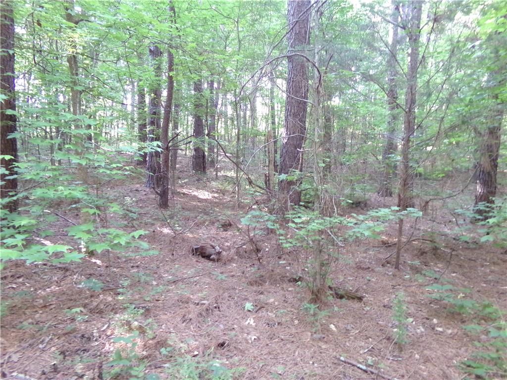 26 AC Pj East Rd, Covington, Georgia image 7