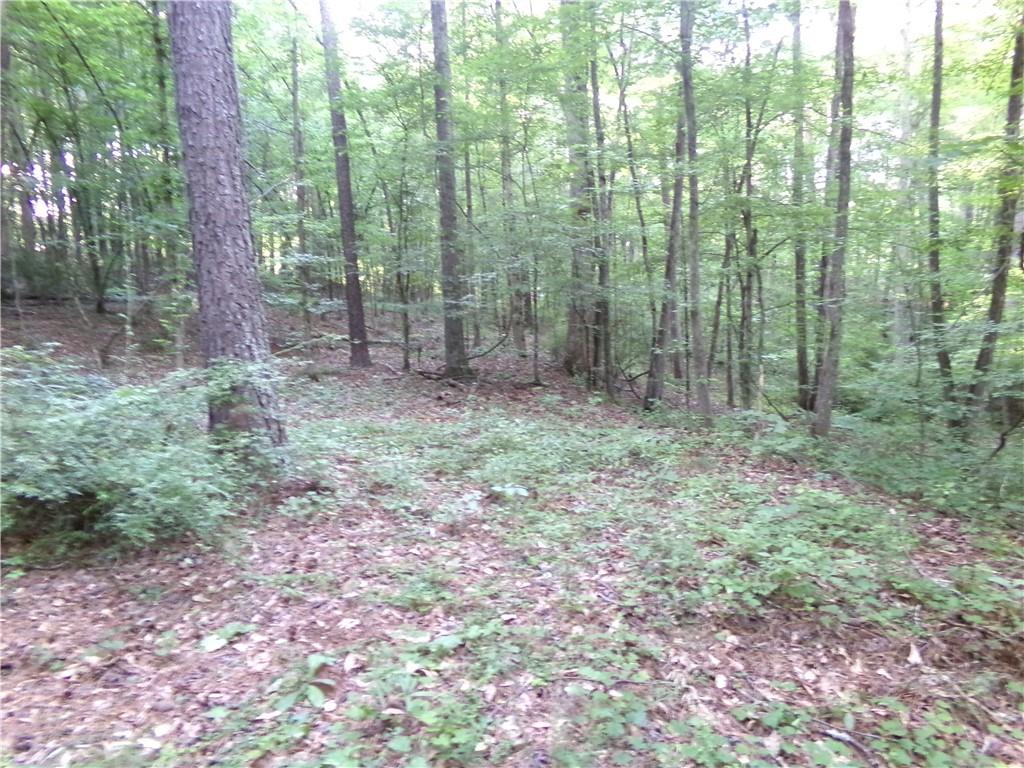 26 AC Pj East Rd, Covington, Georgia image 12