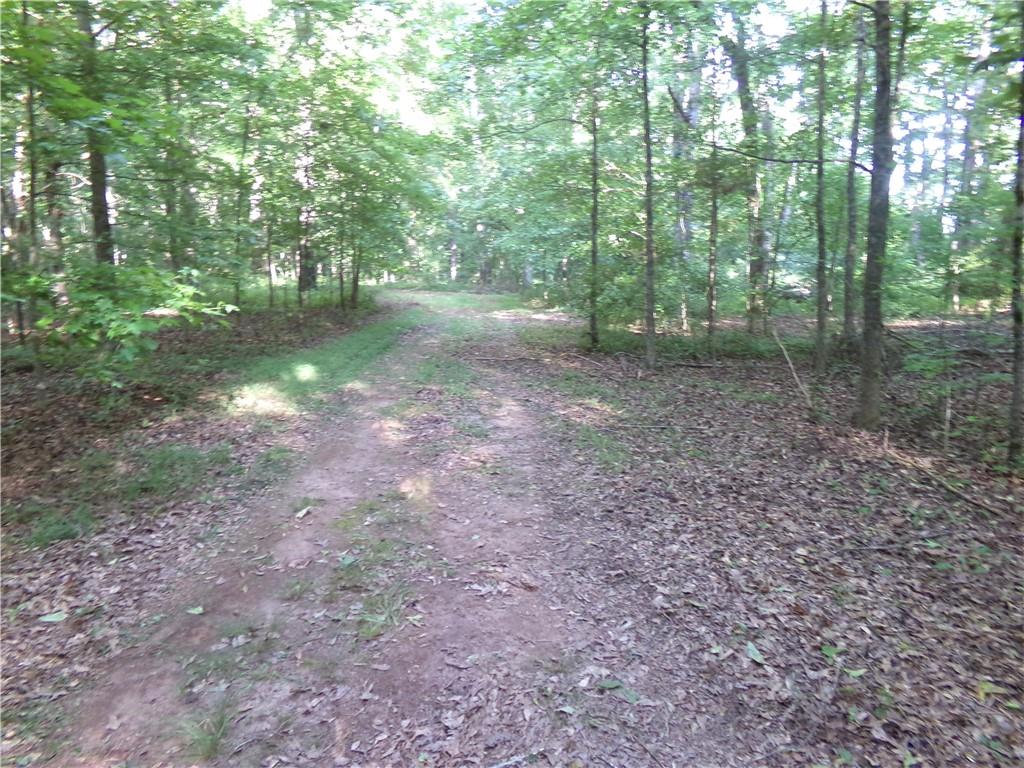 26 AC Pj East Rd, Covington, Georgia image 6