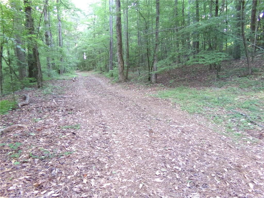 26 AC Pj East Rd, Covington, Georgia image 13