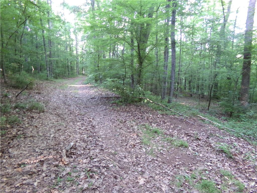 26 AC Pj East Rd, Covington, Georgia image 10