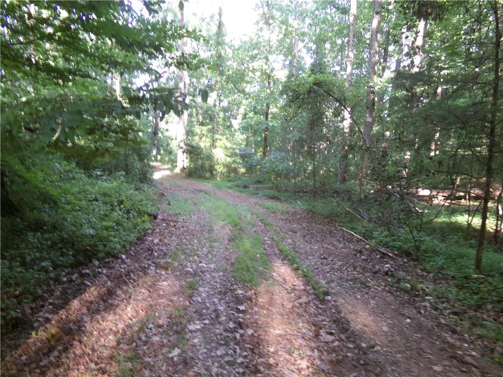 26 AC Pj East Rd, Covington, Georgia image 9