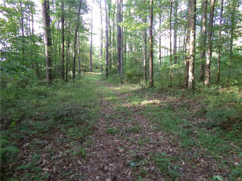 26 AC Pj East Rd, Covington, Georgia image 22