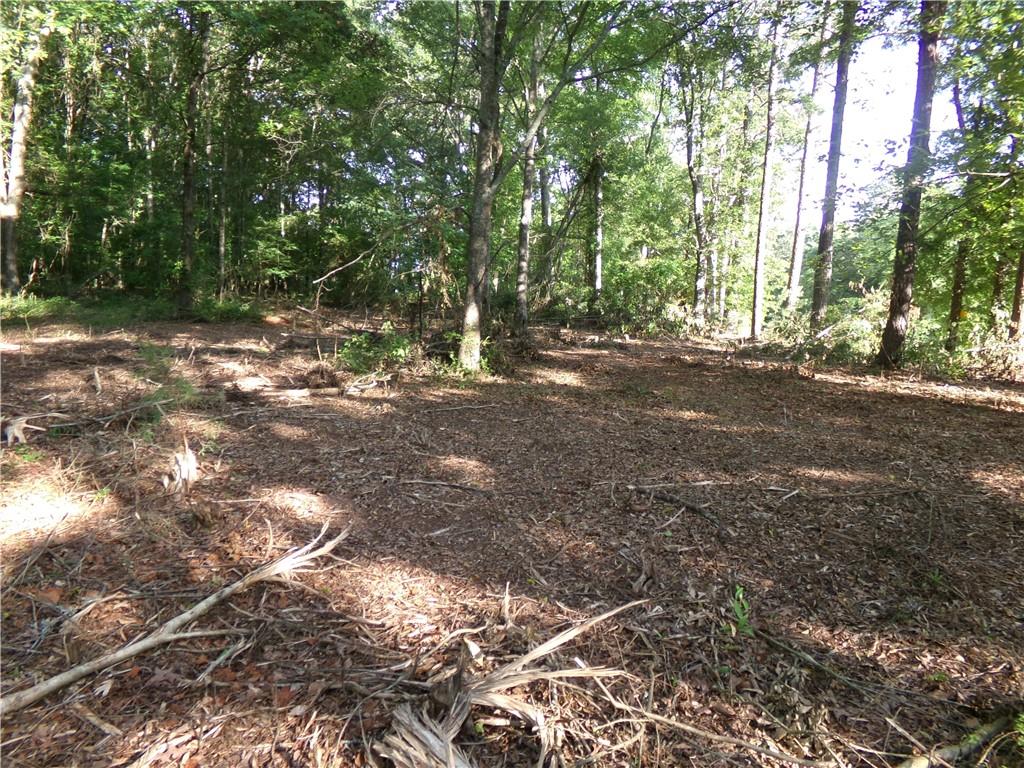 26 AC Pj East Rd, Covington, Georgia image 4
