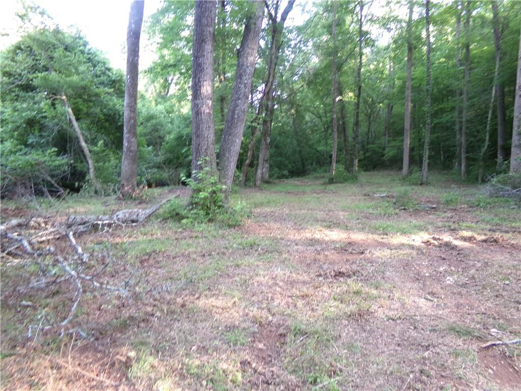 26 AC Pj East Rd, Covington, Georgia image 14