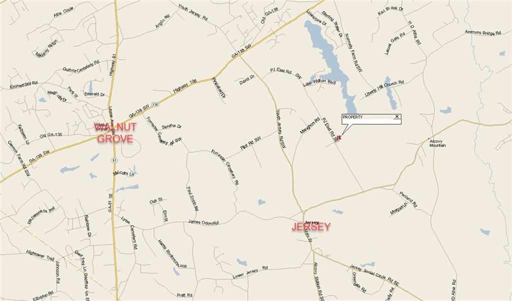 26 AC Pj East Rd, Covington, Georgia image 29