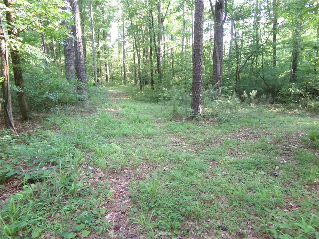 26 AC Pj East Rd, Covington, Georgia image 23