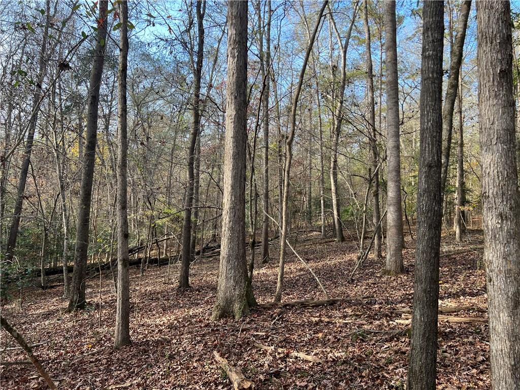 Dickson Drive, Danielsville, Georgia image 28