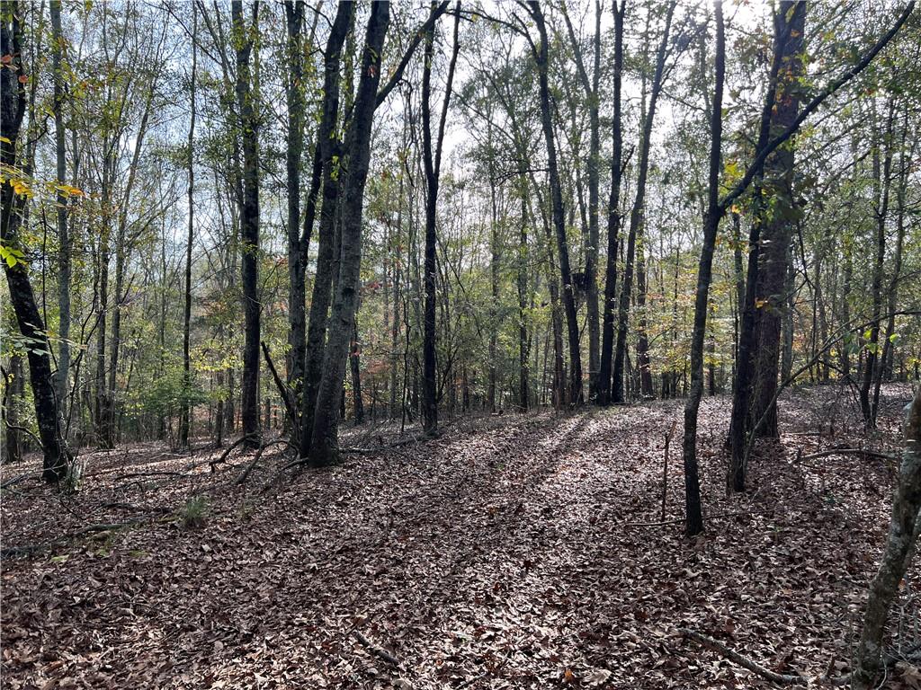Dickson Drive, Danielsville, Georgia image 25