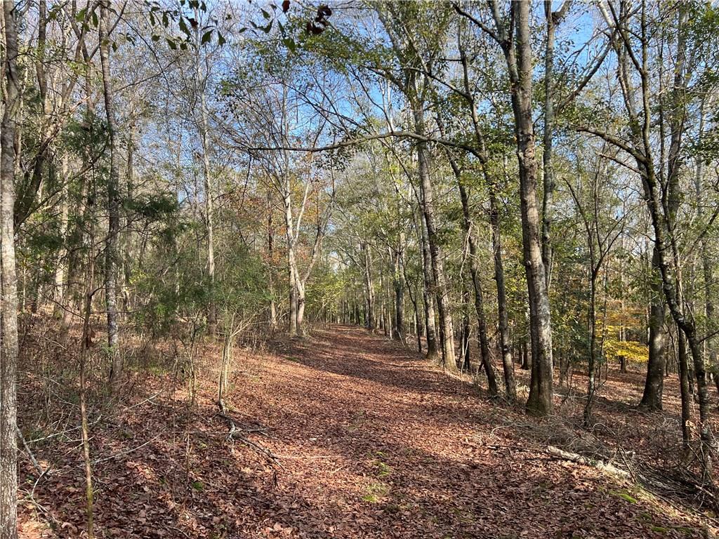 Dickson Drive, Danielsville, Georgia image 23
