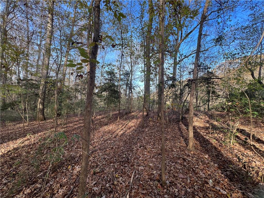 Dickson Drive, Danielsville, Georgia image 27