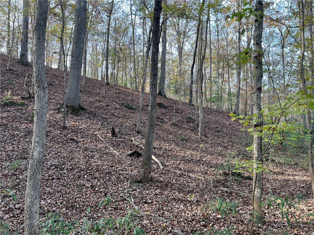 Dickson Drive, Danielsville, Georgia image 16