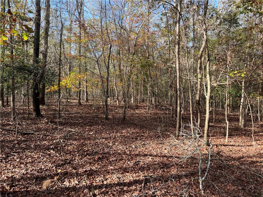 Dickson Drive, Danielsville, Georgia image 11