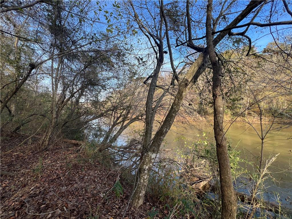 Dickson Drive, Danielsville, Georgia image 3