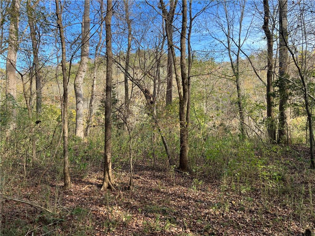 Dickson Drive, Danielsville, Georgia image 9