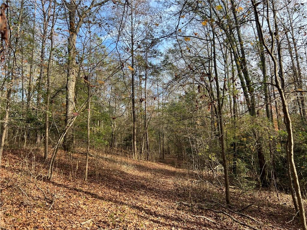 Dickson Drive, Danielsville, Georgia image 6