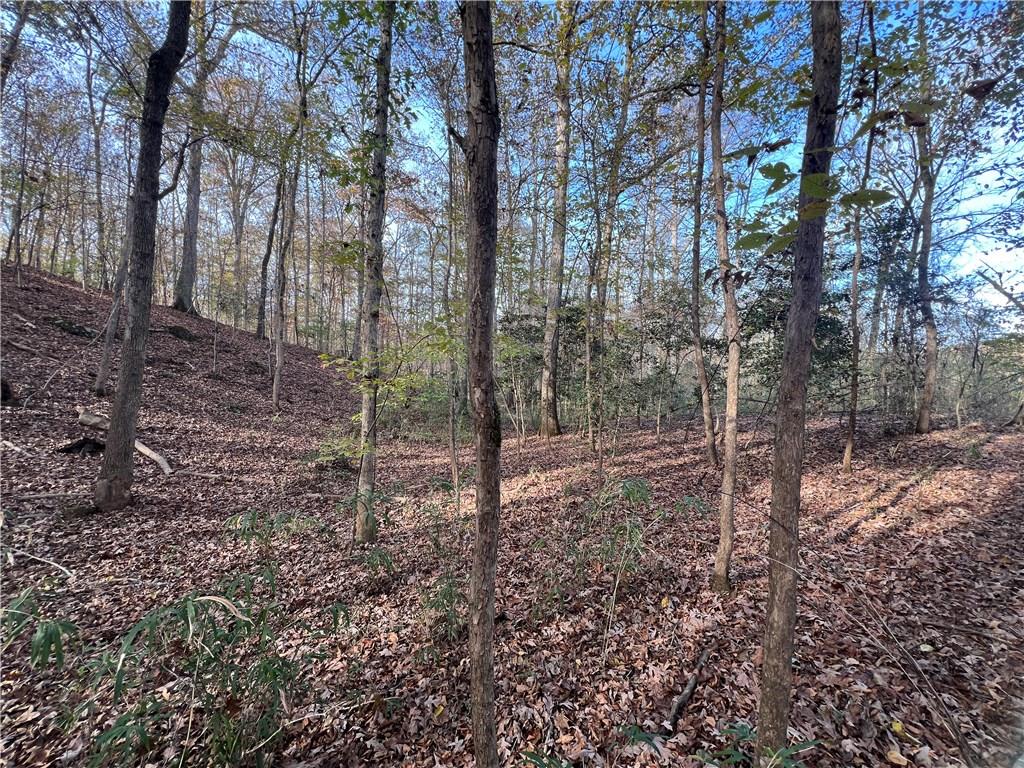 Dickson Drive, Danielsville, Georgia image 17