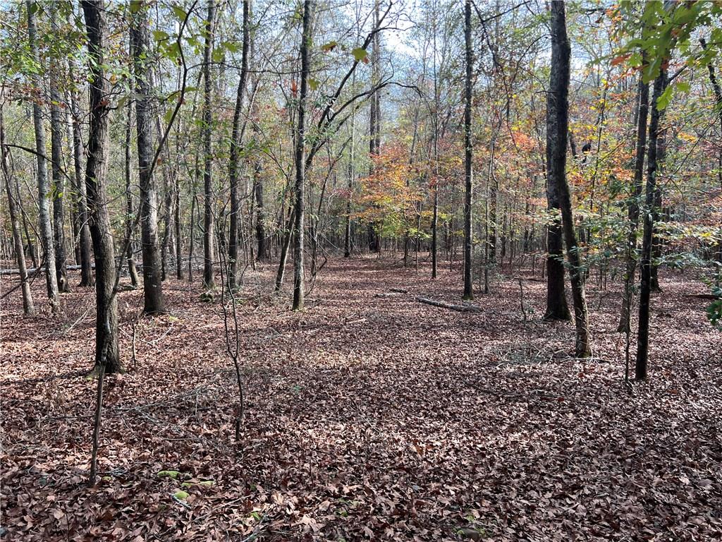 Dickson Drive, Danielsville, Georgia image 7