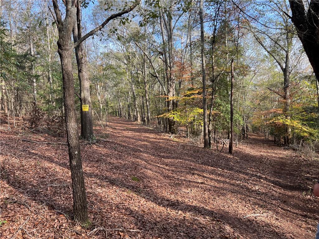 Dickson Drive, Danielsville, Georgia image 22