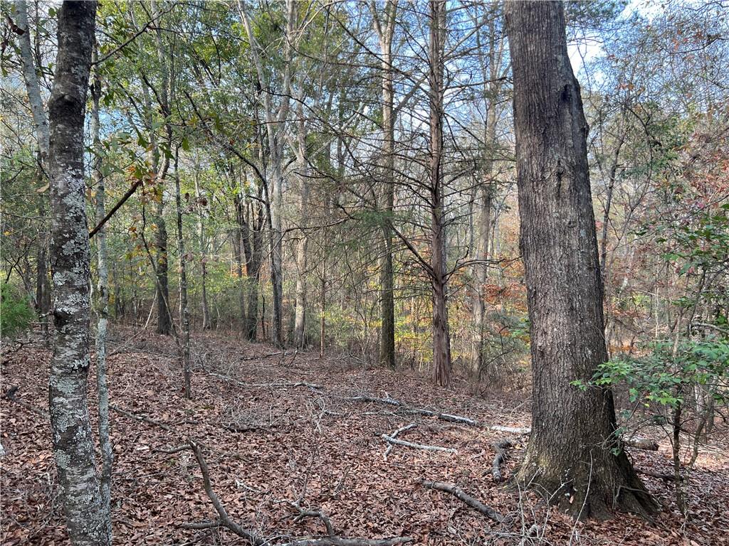 Dickson Drive, Danielsville, Georgia image 26