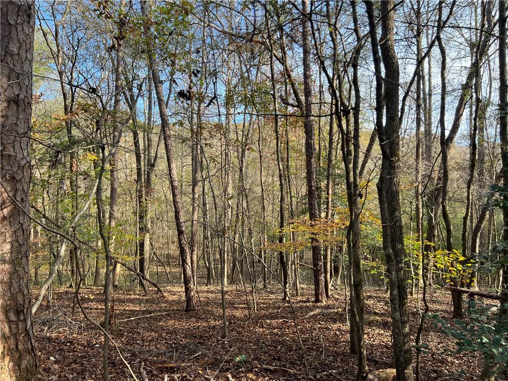 Dickson Drive, Danielsville, Georgia image 12