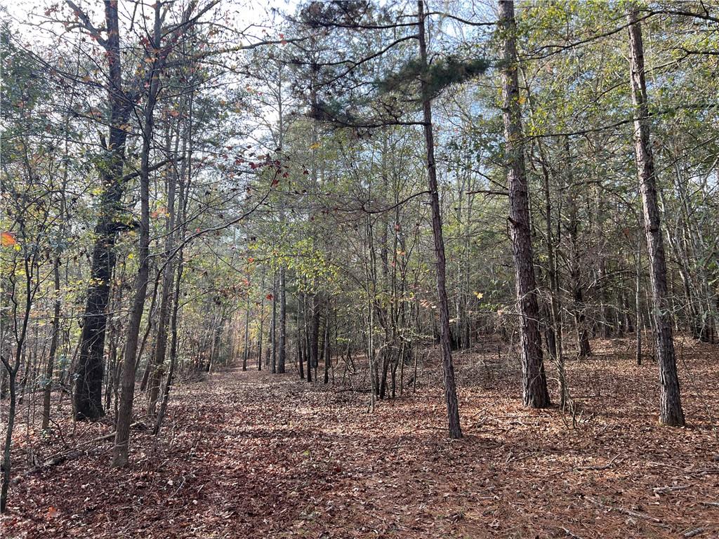 Dickson Drive, Danielsville, Georgia image 20