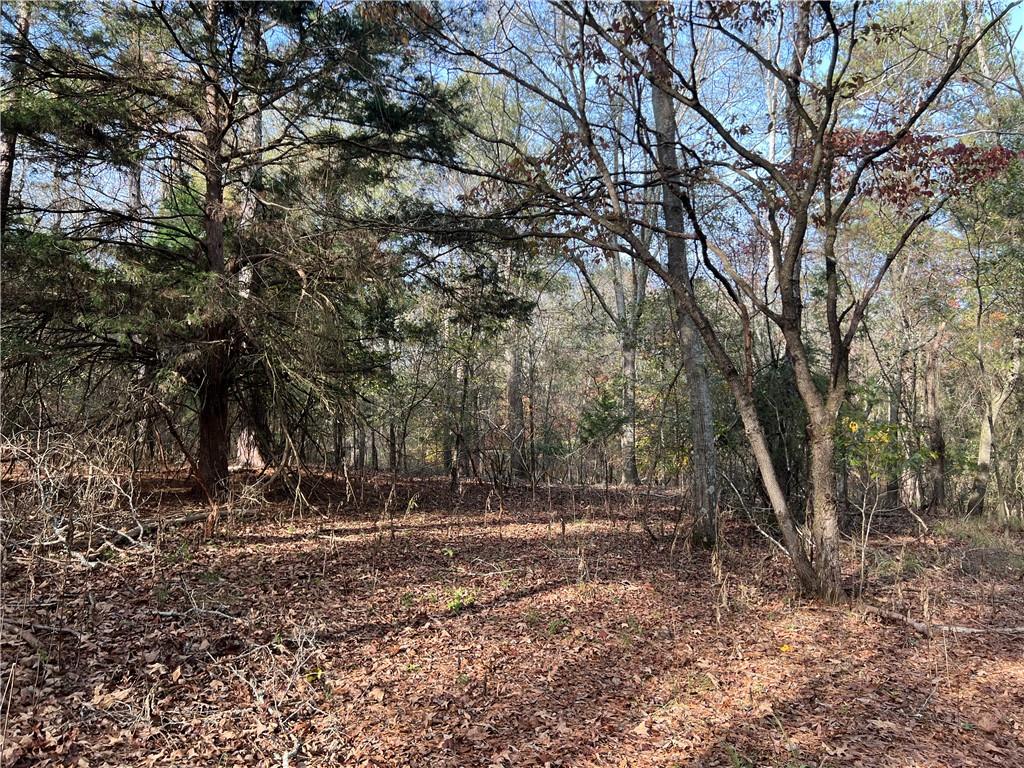 Dickson Drive, Danielsville, Georgia image 24