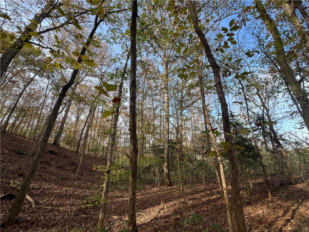 Dickson Drive, Danielsville, Georgia image 29