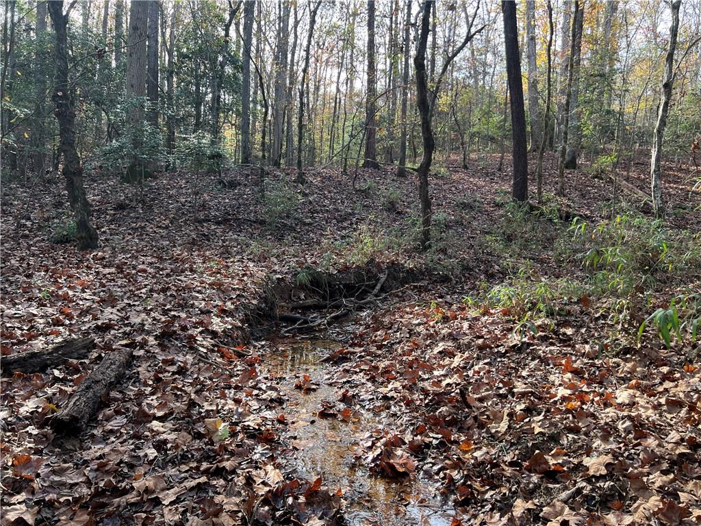 Dickson Drive, Danielsville, Georgia image 15
