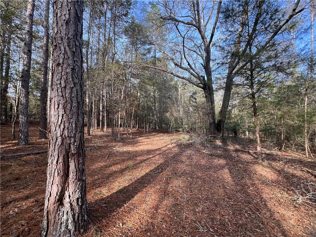 Dickson Drive, Danielsville, Georgia image 21