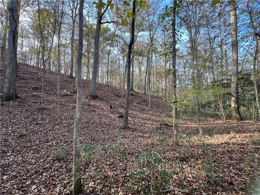 Dickson Drive, Danielsville, Georgia image 18