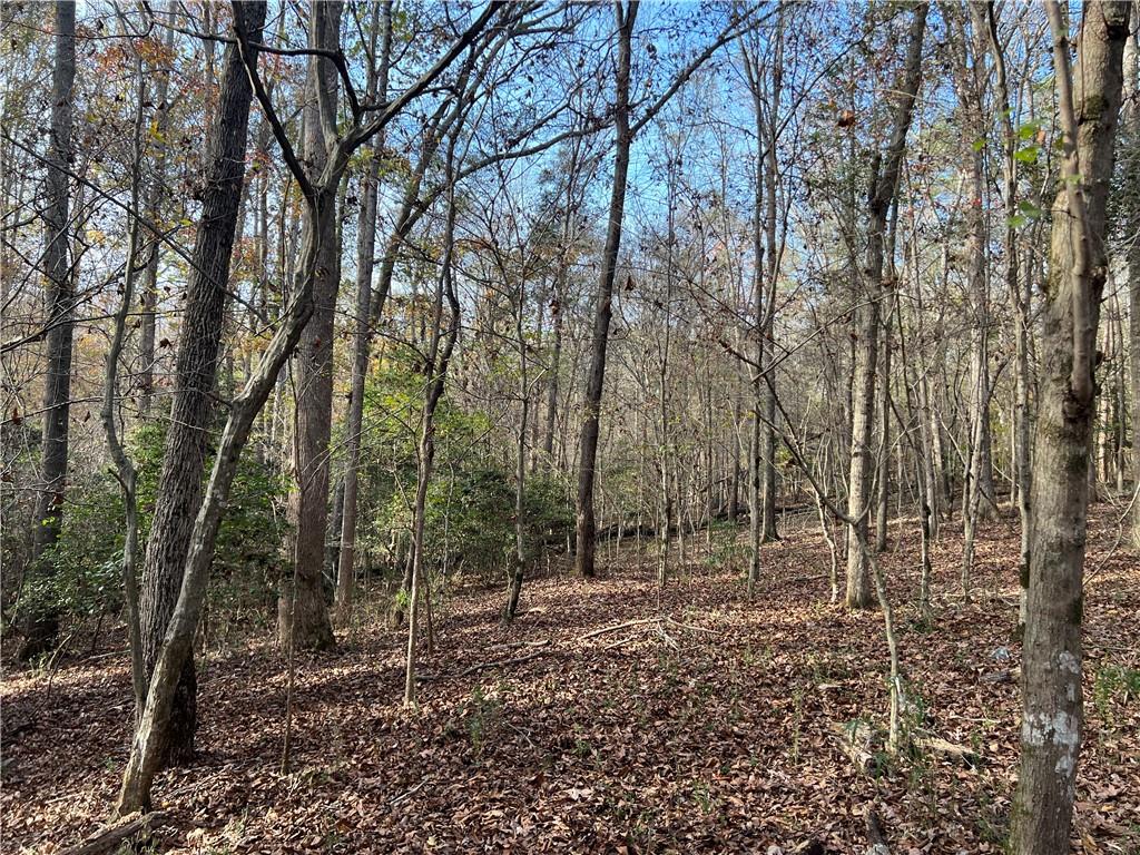 Dickson Drive, Danielsville, Georgia image 14