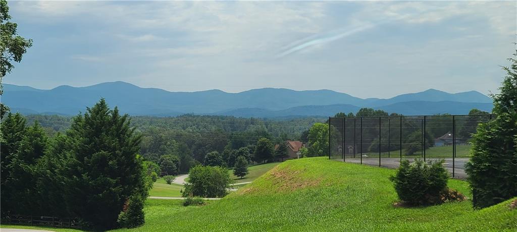 LD9 Ll228 Track, Blairsville, Georgia image 4