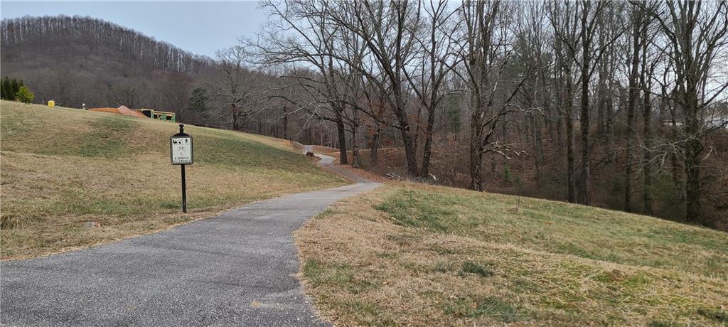 LD9 Ll228 Track, Blairsville, Georgia image 9