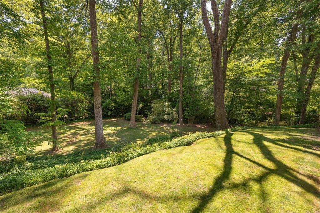 445 Forest Hills Drive NE