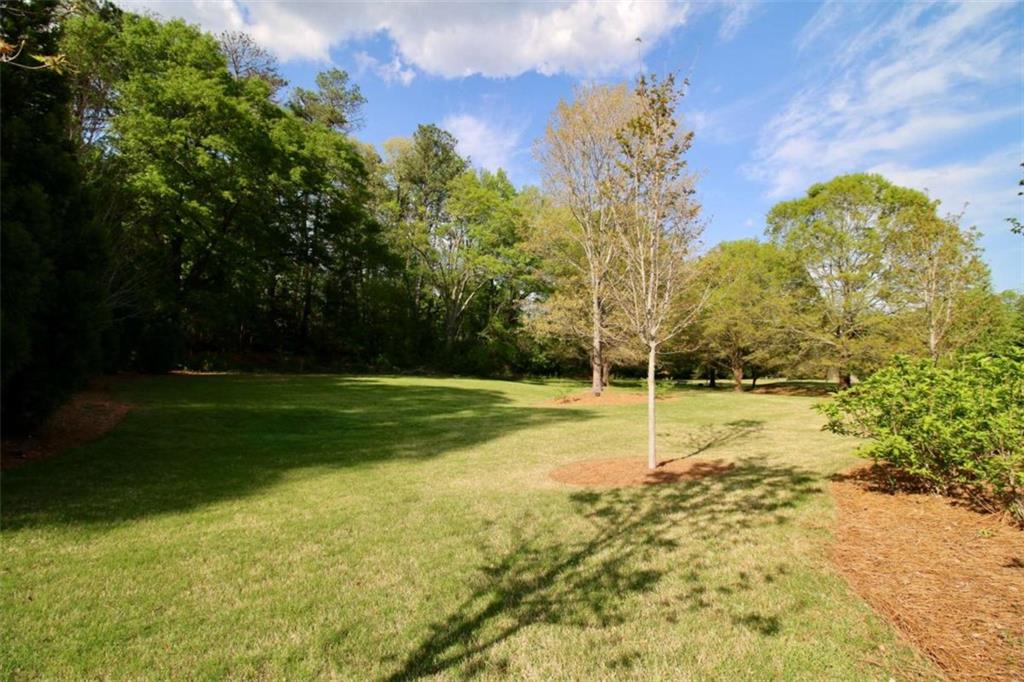 166 Fender Walk, Marietta, Georgia image 25