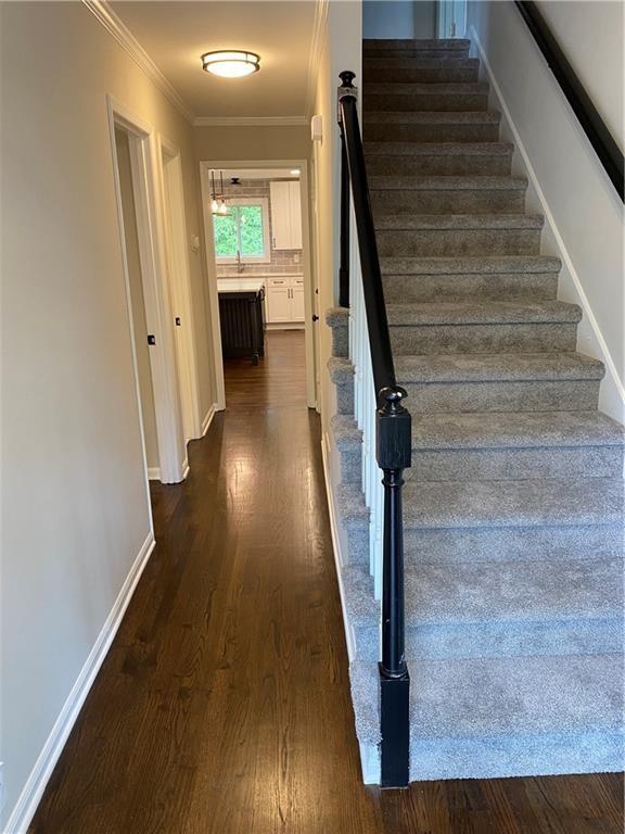 Olde Mill Forest - Residential Lease