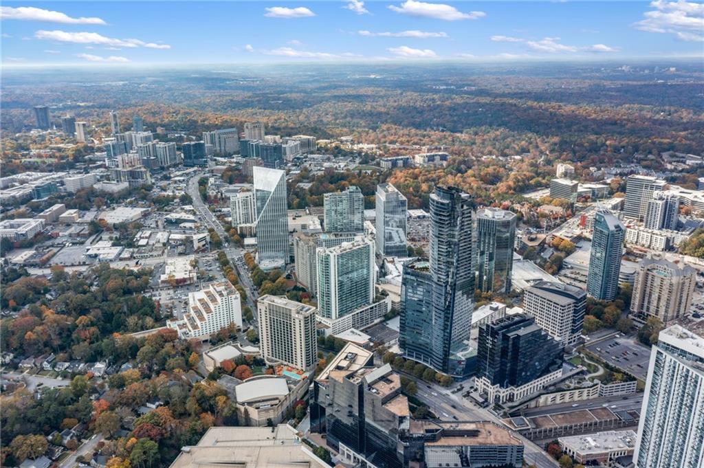 3324 Peachtree Road #1813, Atlanta, Georgia image 28